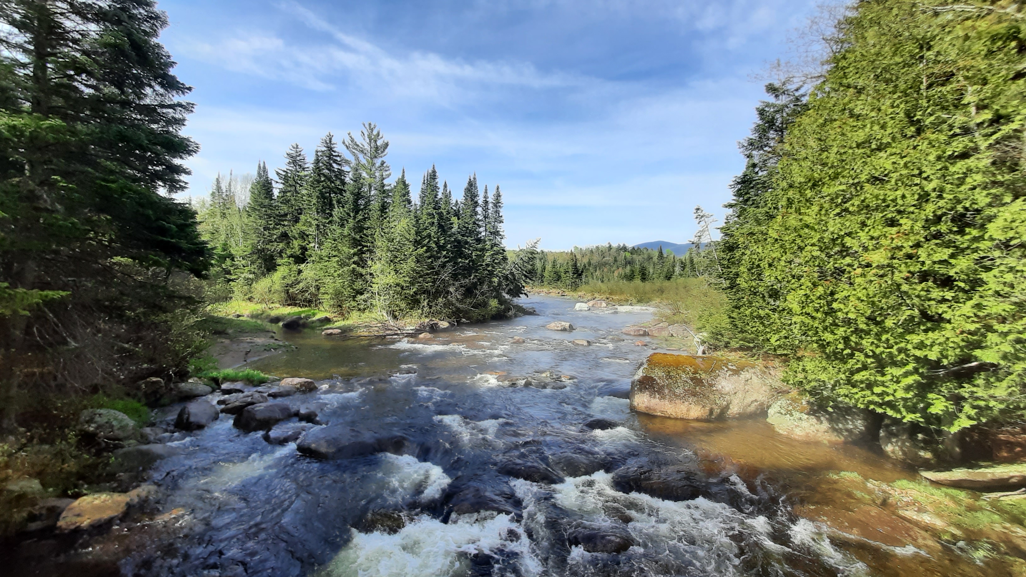 A remote Adirondack river